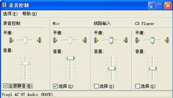 電腦錄音控制灰色故障解析與軟硬件批發(fā)業(yè)務關(guān)聯(lián)