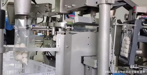 全套魚(yú)丸加工設(shè)備自動(dòng)生產(chǎn)魚(yú)圓的工藝制作流程