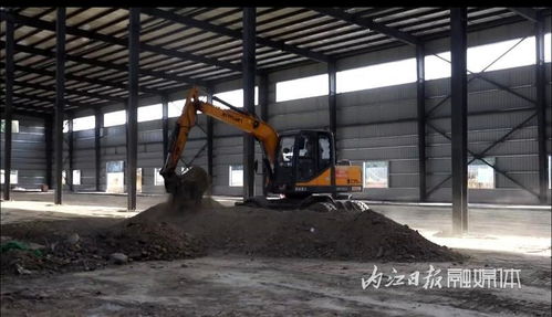 總投資4000萬元 隆昌年產(chǎn)600萬套寵物用品生產(chǎn)基地項目建設進展順利